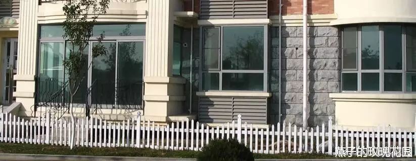 Ngôi nhà tràn ngập sắc hoa hồng ở thị trấn nhỏ của cô gái dành cả thanh xuân chỉ để trồng hoa làm đẹp nhà