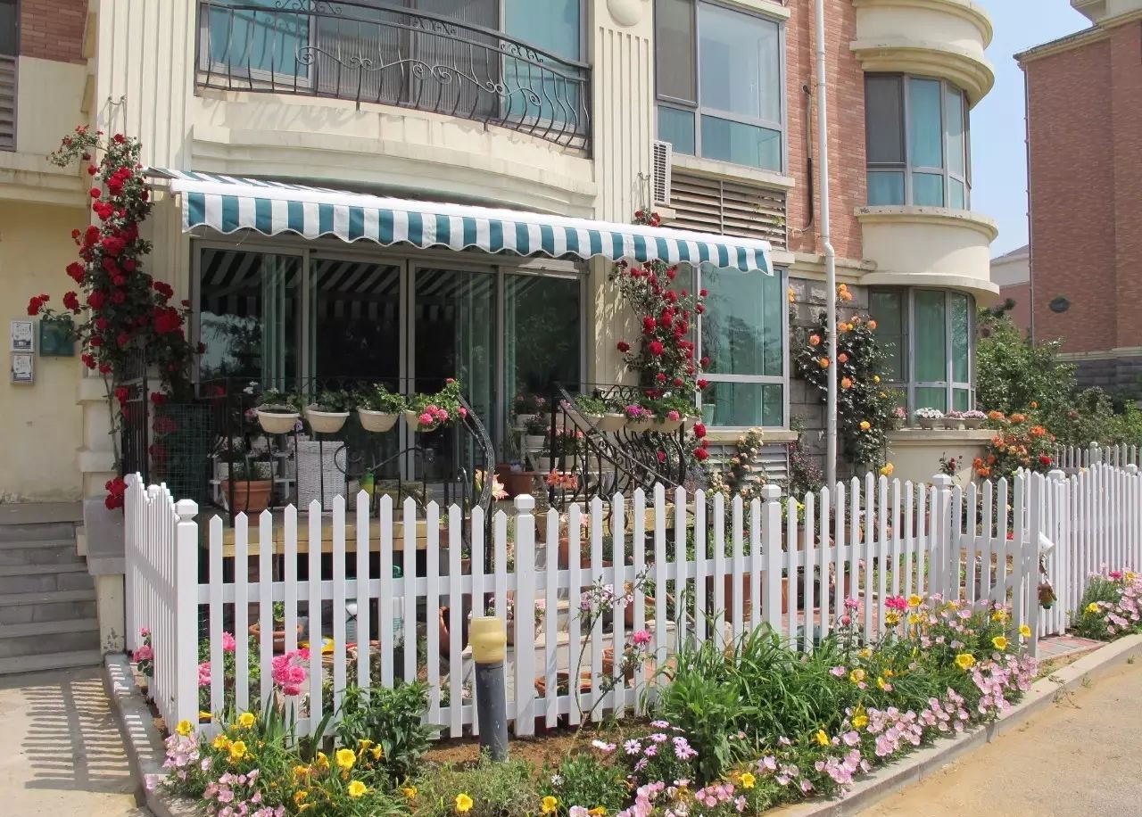 Ngôi nhà tràn ngập sắc hoa hồng ở thị trấn nhỏ của cô gái dành cả thanh xuân chỉ để trồng hoa làm đẹp nhà