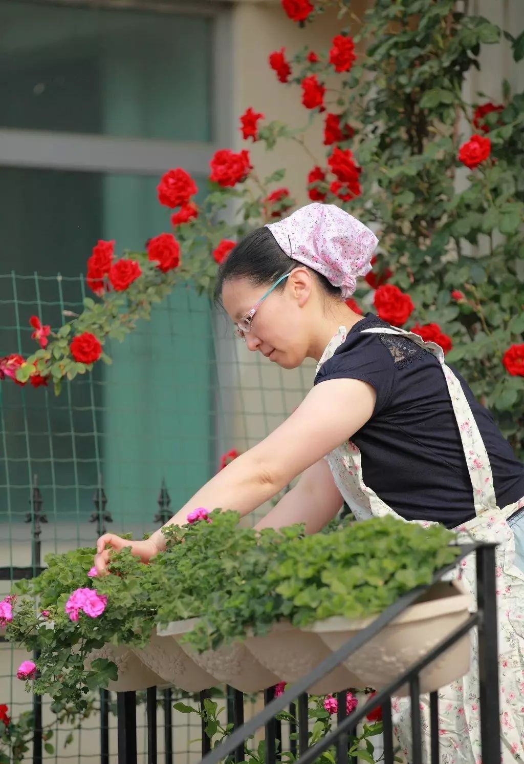 Ngôi nhà tràn ngập sắc hoa hồng ở thị trấn nhỏ của cô gái dành cả thanh xuân chỉ để trồng hoa làm đẹp nhà