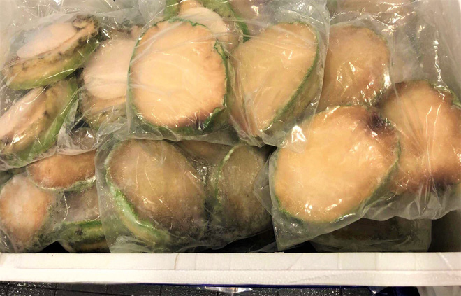 Bào ngư viền xanh 7 triệu đồng/kg, đắt bỏng tay nhà giàu vẫn chi tiền mua tẩm bổ