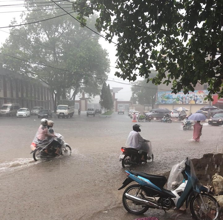 Yên Bái: Sập 1 cây cầu, di dời khẩn hơn 2.500 hộ dân