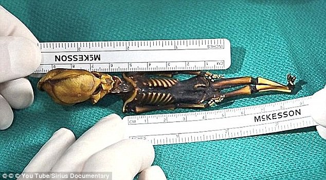 Tranh cãi về bộ hài cốt tí hon nghi là người ngoài hành tinh được phát hiện ở Chile Tranh cãi về bộ hài cốt tí hon nghi là người ngoài hành tinh được phát hiện ở Chile