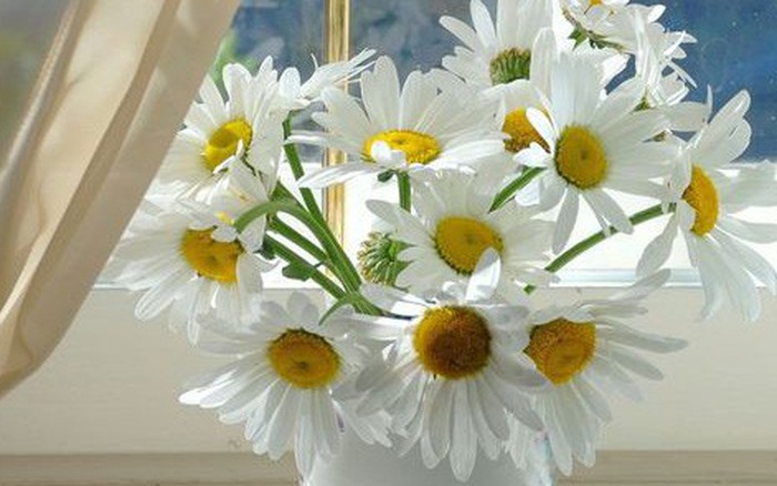 Thứ Bảy của bạn (21/7): Bọ Cạp hãy quý trọng bản thân mình