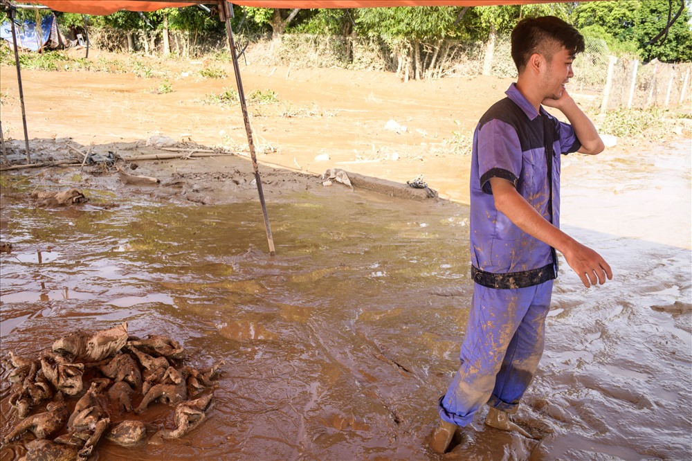Nỗi buồn đám cưới ngày lũ: Vợ ơi, anh không đón vợ được rồi!
