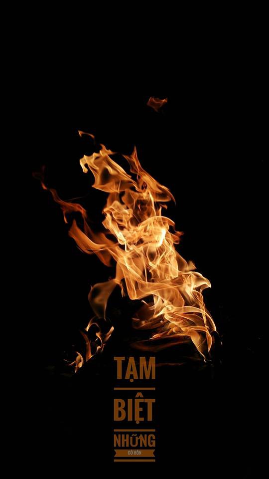 Đằng sau bức ảnh hoa xuyến chi nghìn like khiến dân sống ảo nể phục