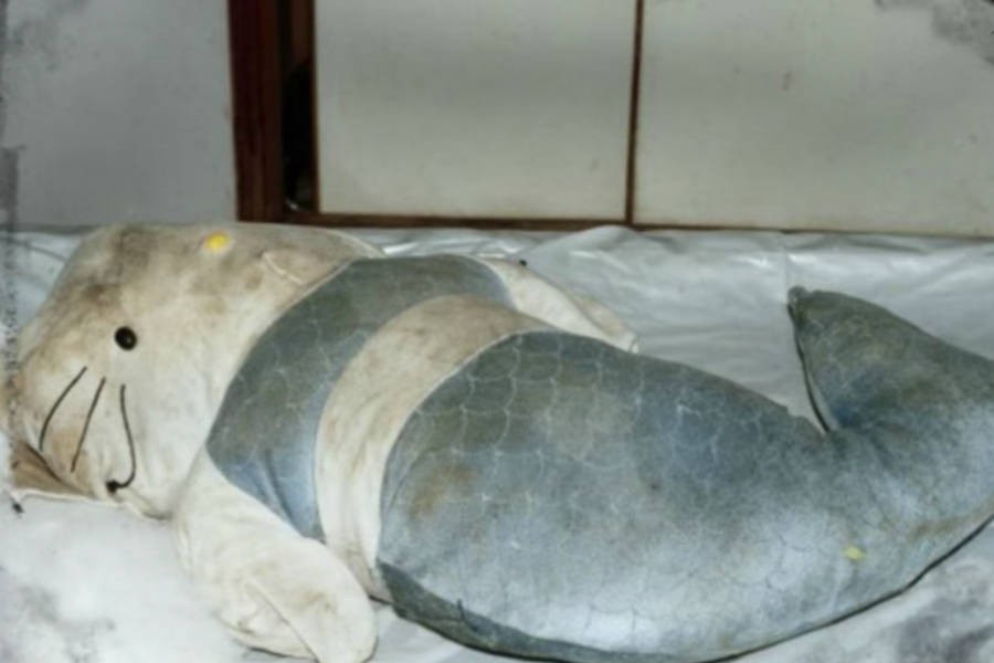 Búp bê Hello Kitty chứa đầu người và thảm án rùng rợn phía sau gây rúng động Hong Kong một thời