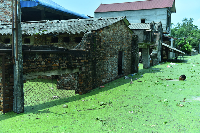 Nước ngập lút mái nhà ở ngoại thành Hà Nội