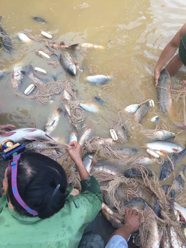 Phú Thọ: Người dân vẫn phải ăn uống ngoài đường để khắc phục hậu quả cơn lũ Phú Thọ: Người dân vẫn phải ăn uống ngoài đường để khắc phục hậu quả cơn lũ