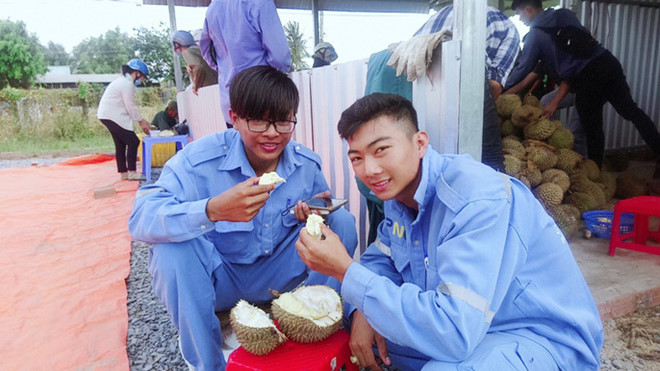 Lại ùn ùn kéo về Vĩnh Long ăn sầu riêng 19.000 đồng một kg