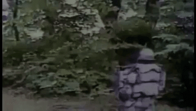 Người đàn ông dành cả đời chế tạo áo giáp chống gấu: nhiều bài học đáng trân trọng