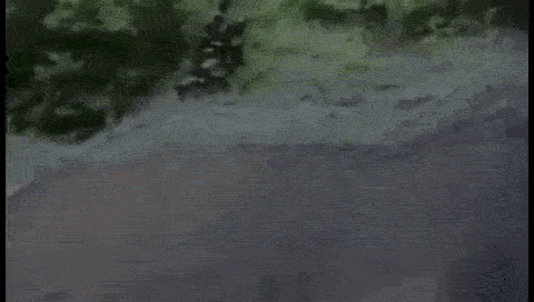 Người đàn ông dành cả đời chế tạo áo giáp chống gấu: nhiều bài học đáng trân trọng