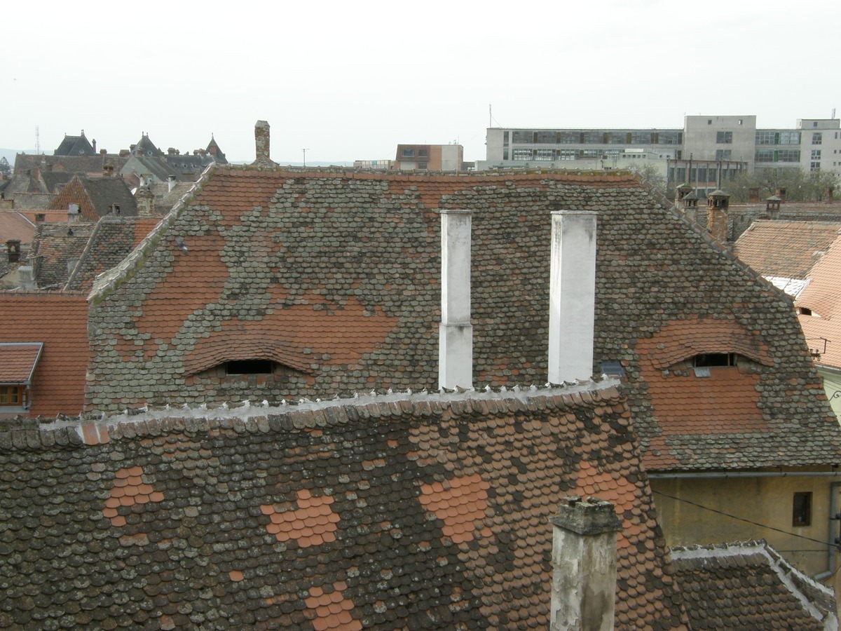 Ở quê hương của Dracula, đến cả nhà cửa cũng khiến người ta lạnh gáy với những con mắt dõi theo người qua lại Ở quê hương của Dracula, đến cả nhà cửa cũng khiến người ta lạnh gáy với những con mắt dõi theo người qua lại