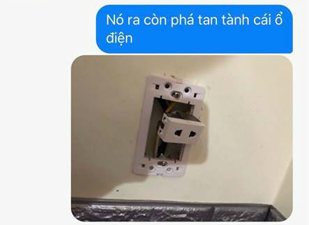 4 khách nữ tố homestay tại Đà Lạt đuổi mình ra đường giữa đêm, ở 2 đêm tính tiền 4, chủ homestay tố ngược khách ồn ào, quậy phá