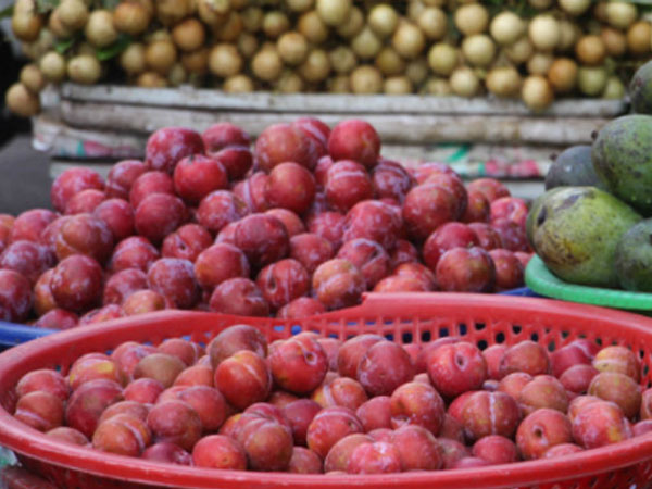 Mận Trung Quốc ồ ạt về chợ