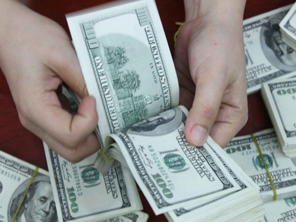 Tỷ giá ngoại tệ ngày 25/7: USD chững lại, Euro vững giá