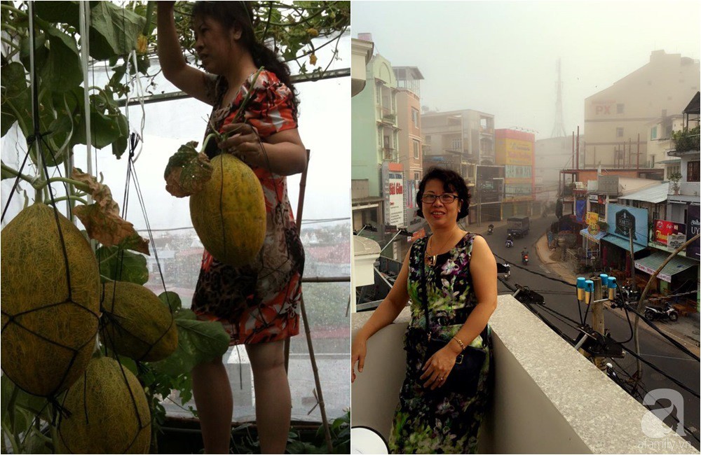 Khu vườn trồng rau sạch quy củ như một trang trại thật sự trên sân thượng của bà mẹ 2 con ở Hải Phòng