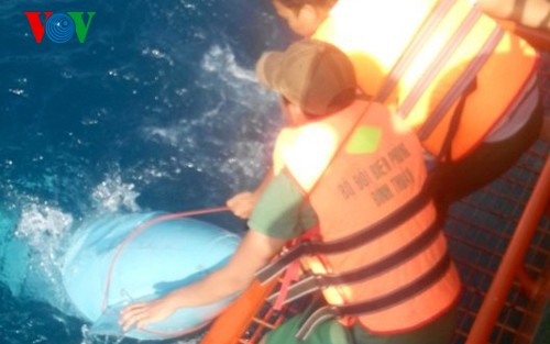 Những vụ rơi máy bay quân sự trong những năm gần đây ở Việt Nam