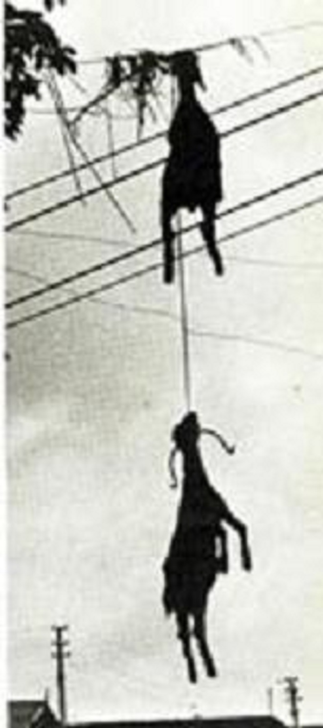 Thảm họa vỡ đập kinh hoàng nhất Ấn Độ, hàng nghìn người tử nạn