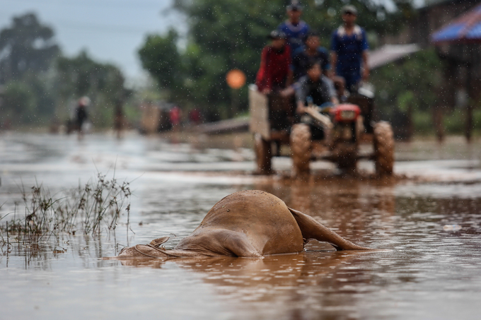 Bản ở Lào tan hoang sau sự cố vỡ đập thủy điện