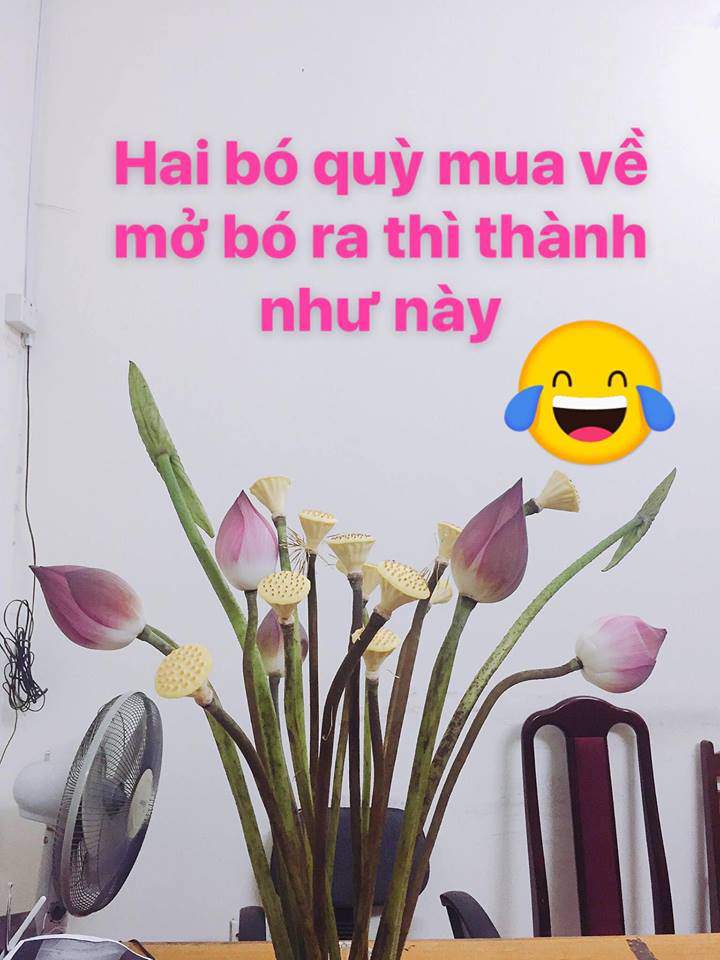 Anh chàng mua sen 3 lần bị lừa nhưng nghe người ta nói một câu, vẫn thấy Mình may chán