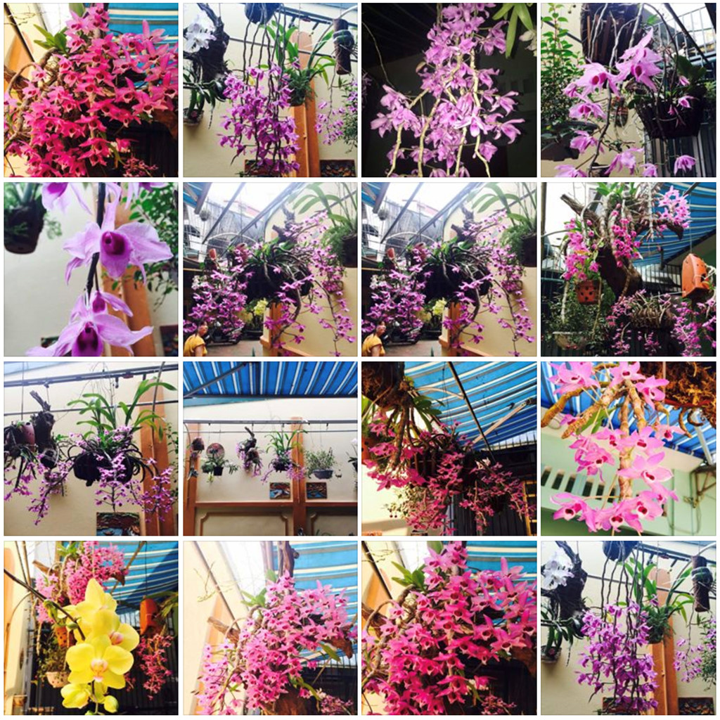 Thân nhân phi công Su-22: Về đi Trí ơi, hoa lan nở rồi