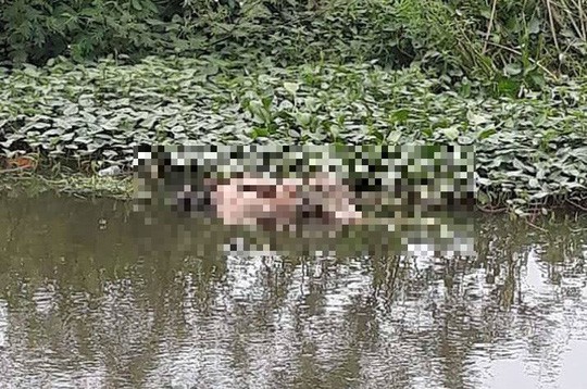 Tá hỏa phát hiện thi thể người đàn ông nổi trên hồ