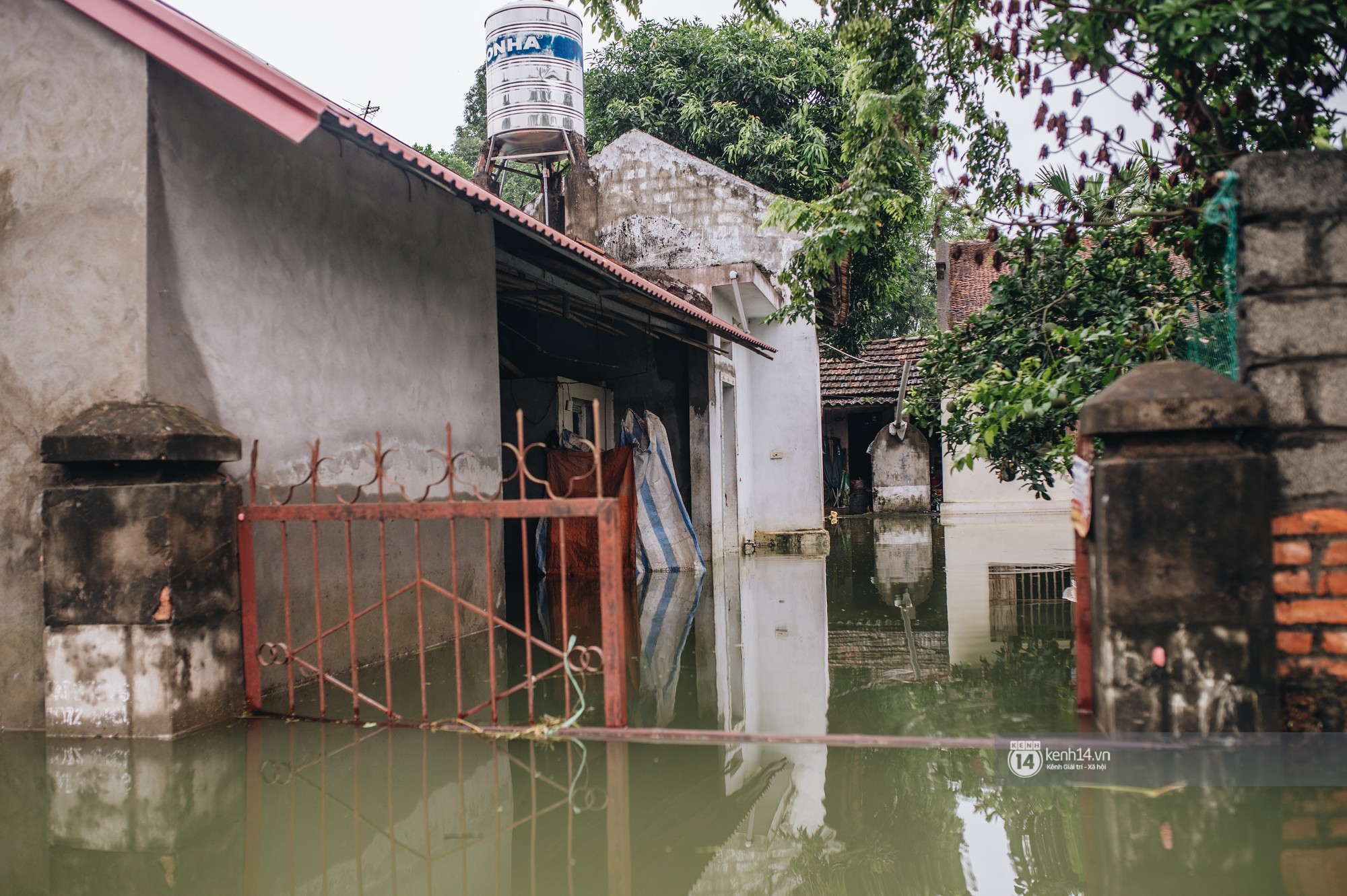 Chùm ảnh: 1 tuần sau lũ lớn, người dân Hà Nội vẫn phải chèo thuyền đi lại giữa biển rác thải nổi lềnh bềnh