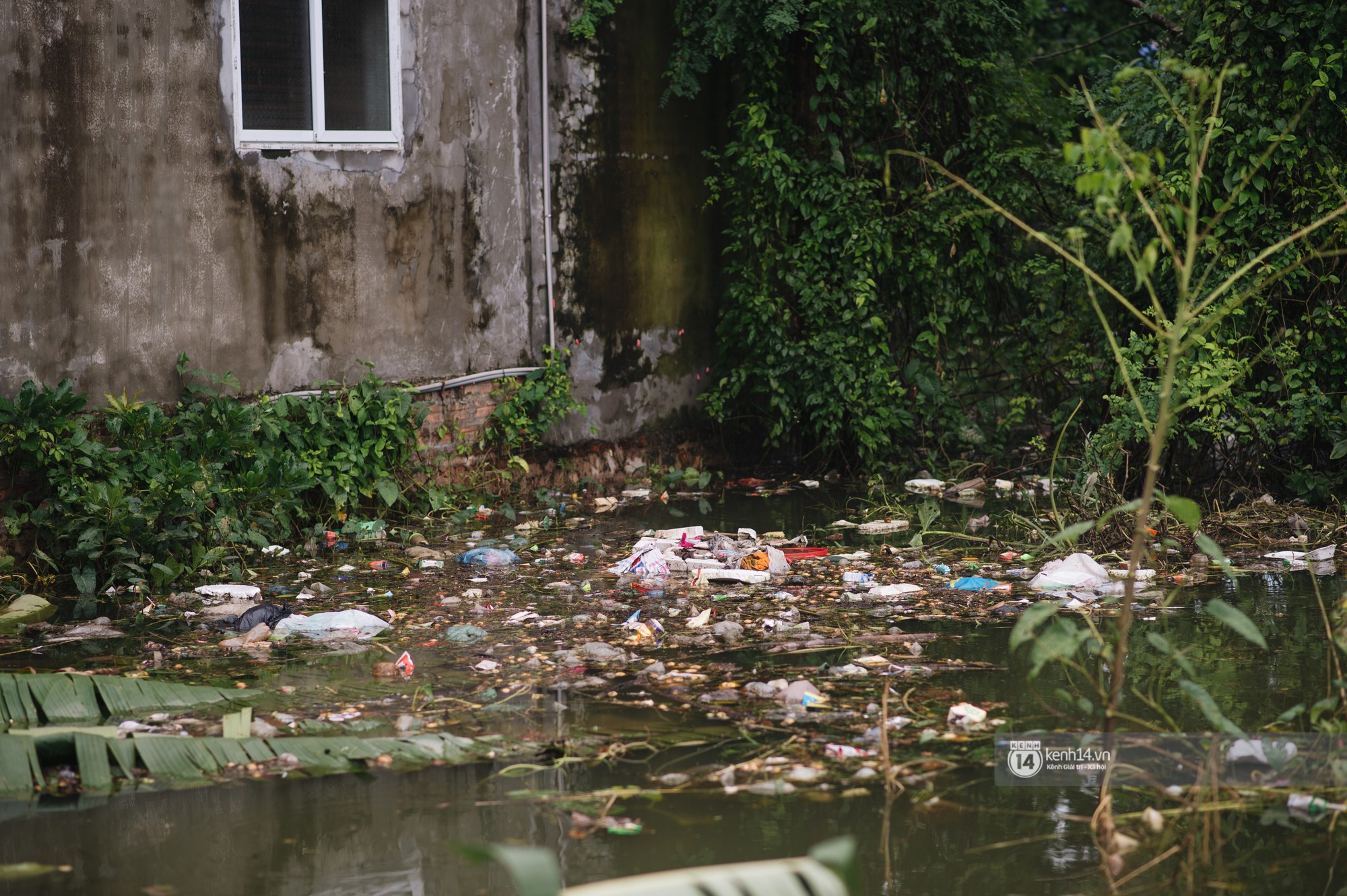 Chùm ảnh: 1 tuần sau lũ lớn, người dân Hà Nội vẫn phải chèo thuyền đi lại giữa biển rác thải nổi lềnh bềnh