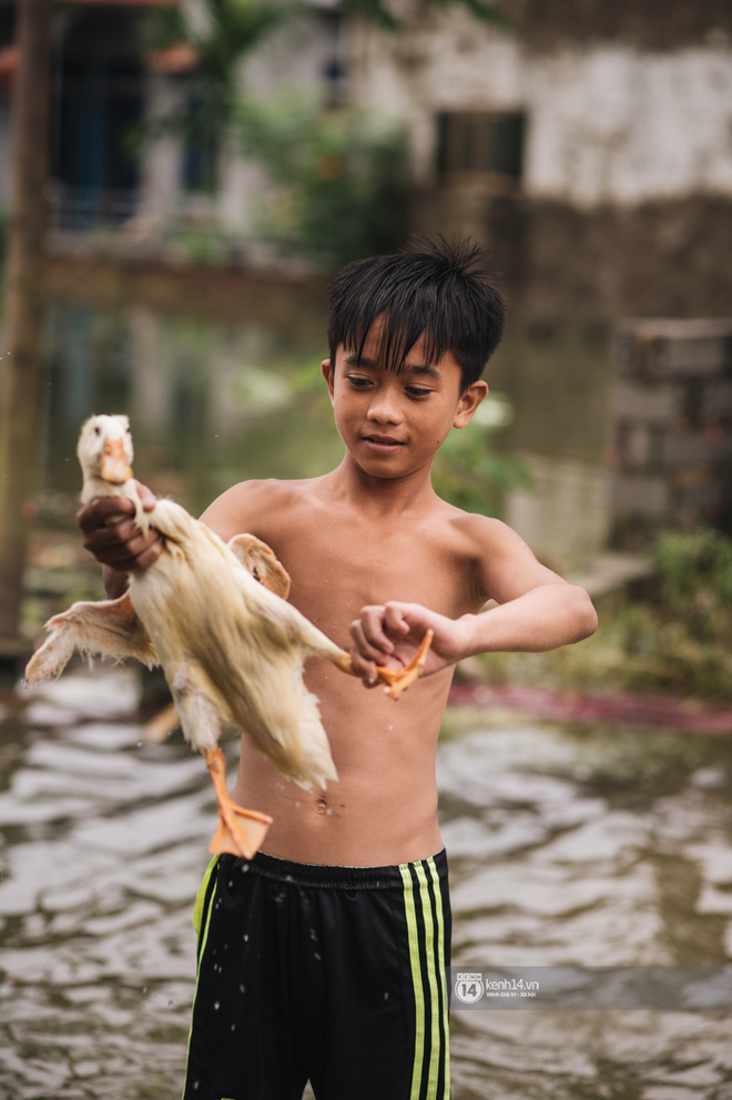 Chùm ảnh: 1 tuần sau lũ lớn, người dân Hà Nội vẫn phải chèo thuyền đi lại giữa biển rác thải nổi lềnh bềnh Chùm ảnh: 1 tuần sau lũ lớn, người dân Hà Nội vẫn phải chèo thuyền đi lại giữa biển rác thải nổi lềnh bềnh