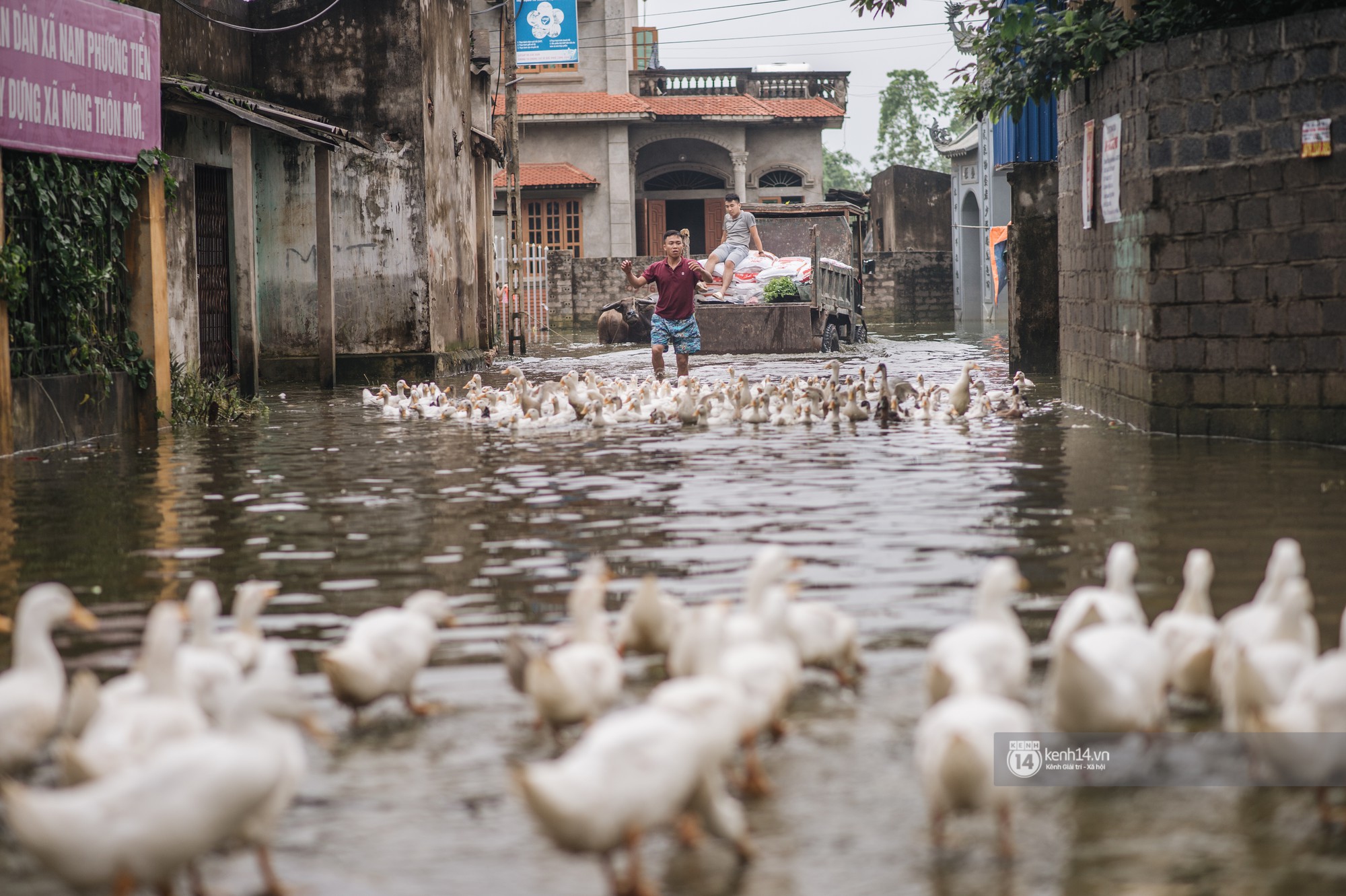 Chùm ảnh: 1 tuần sau lũ lớn, người dân Hà Nội vẫn phải chèo thuyền đi lại giữa biển rác thải nổi lềnh bềnh