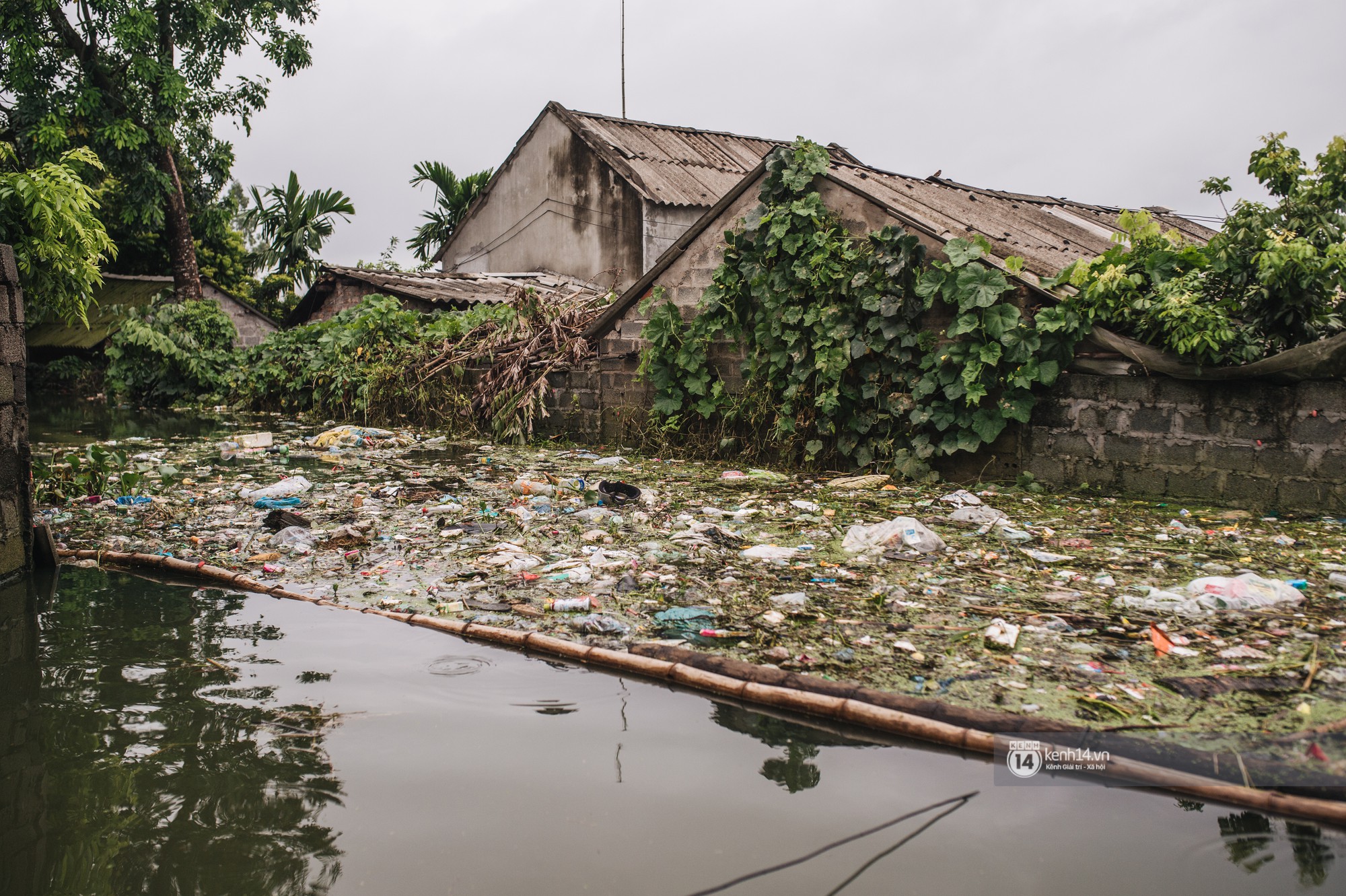 Chùm ảnh: 1 tuần sau lũ lớn, người dân Hà Nội vẫn phải chèo thuyền đi lại giữa biển rác thải nổi lềnh bềnh