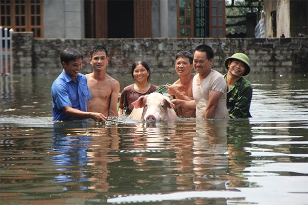 Dự báo thời tiết 31/7: Hà Nội tiếp tục mưa, ngoại thành ngập lụt kéo dài