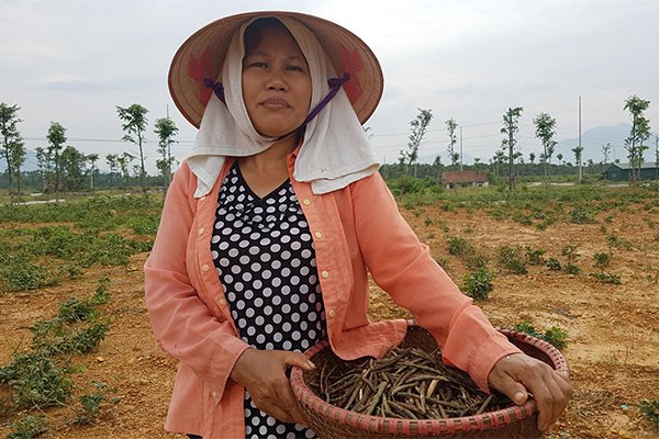 Hợp nhất HN: Không dám dựng vợ, gả chồng cho con vì dự án treo