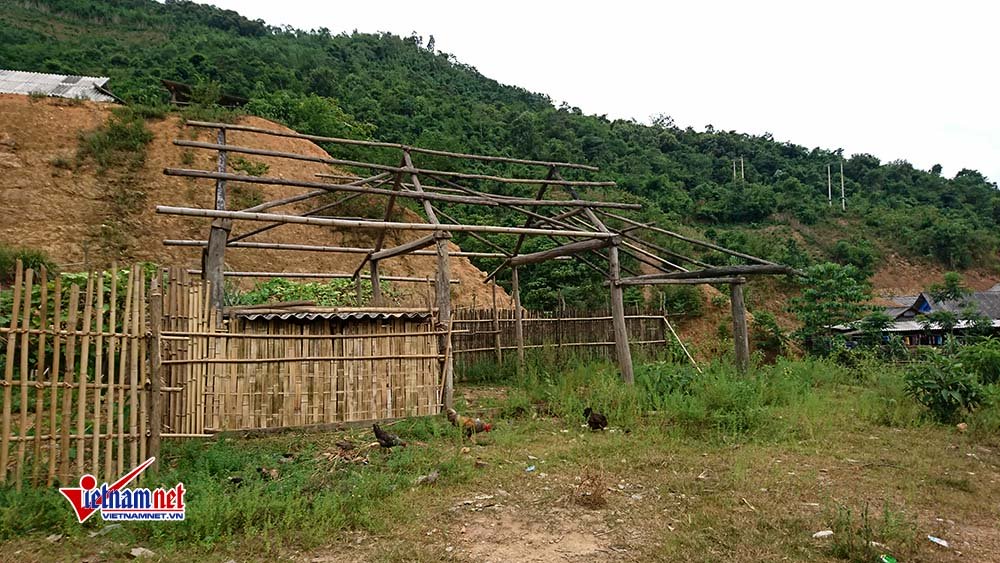 Tấn bi kịch ở bản không chồng, vùi dập những phận người vì ma túy