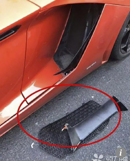 Chó bị xe Lamborghini đâm, chủ phải đền 6.600 USD