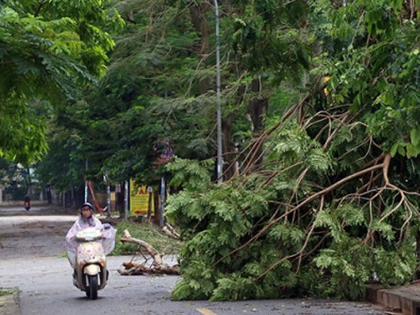 Bắc Bộ mưa giông đến giữa tuần sau