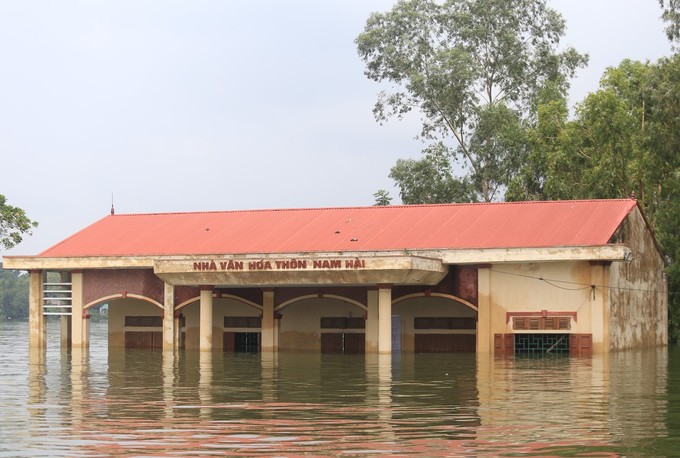 Biển rác bủa vây người dân vùng lũ Hà Nội