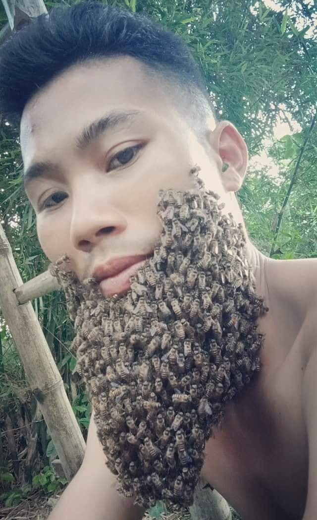 Thanh niên từng dũng cảm selfie bên tổ ong vò vẽ lại vừa khoe ảnh bộ râu mới mọc từ hàng trăm con ong mật