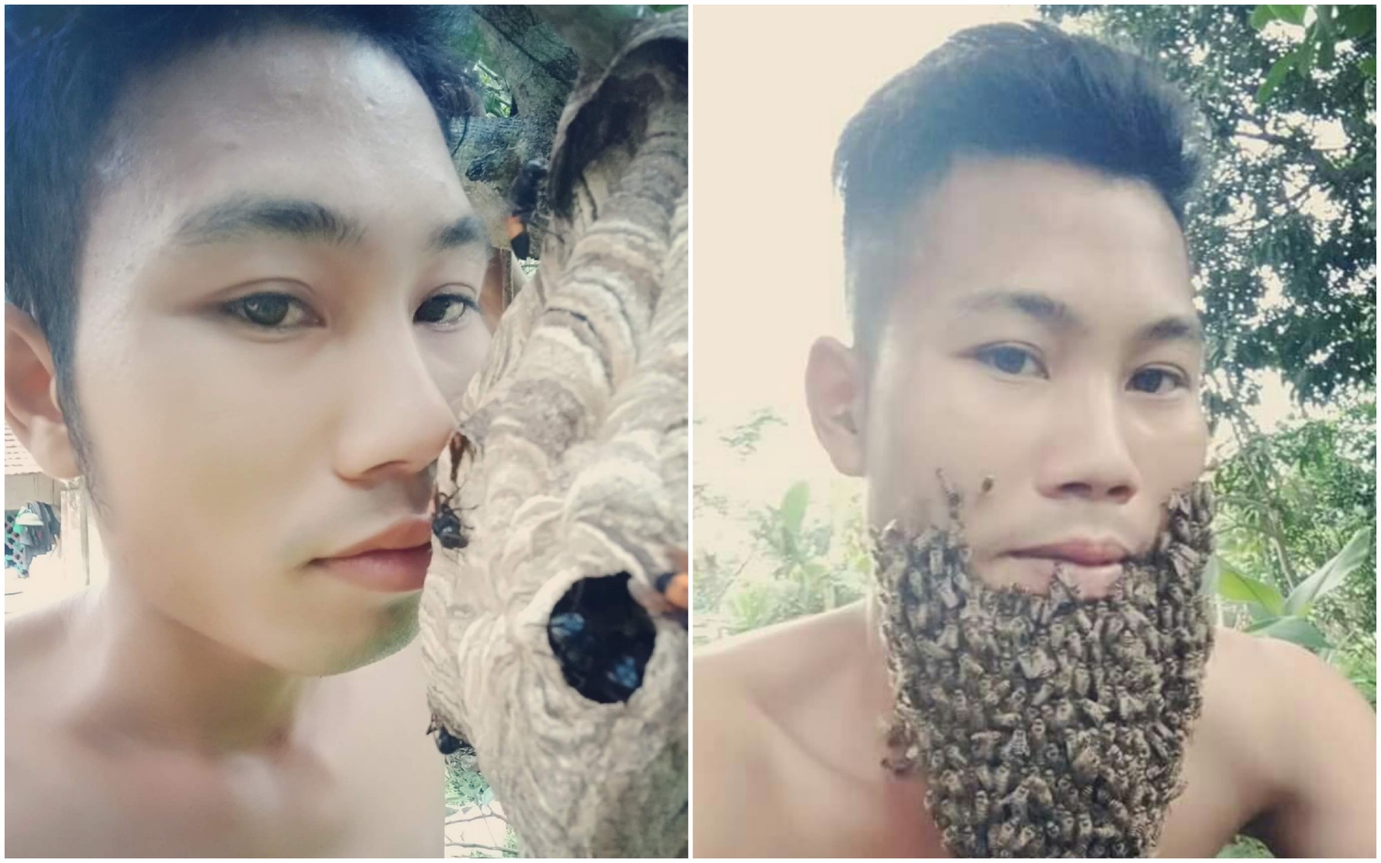 Thanh niên từng dũng cảm selfie bên tổ ong vò vẽ lại vừa khoe ảnh bộ râu mới mọc từ hàng trăm con ong mật