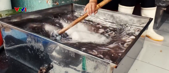 Vụ biến bạch tuộc đen thành trắng tinh sau 30 phút: Chủ một mực chối, nhân viên khai Nếu em ăn thì em không cho cái chất đấy vào!