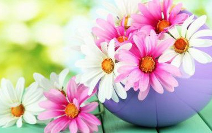 Thứ Ba của bạn (31/7): Cự Giải hạnh phúc khi được là chính mình