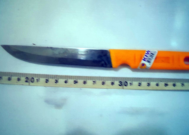 Đề nghị truy tố thiếu nữ 15 tuổi giết bạn nhậu, cướp xe máy