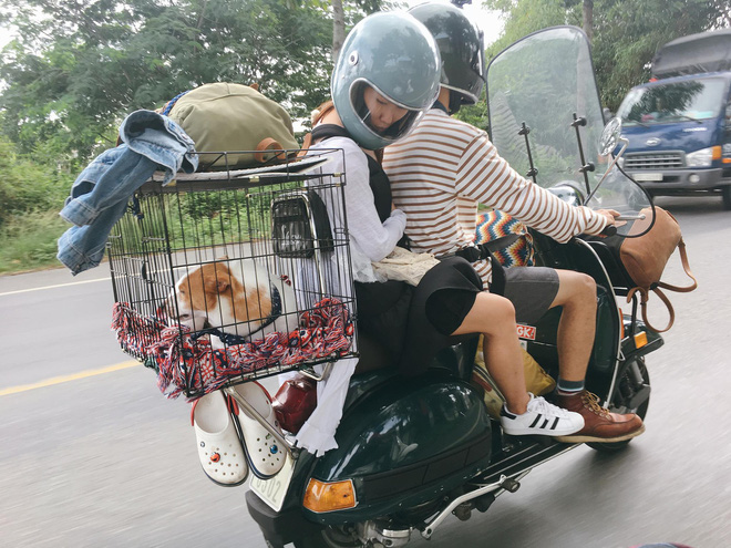 Chàng trai Sài Gòn chế lồng trên xe Vespa cho thú cưng đi phượt Chàng trai Sài Gòn chế lồng trên xe Vespa cho thú cưng đi phượt