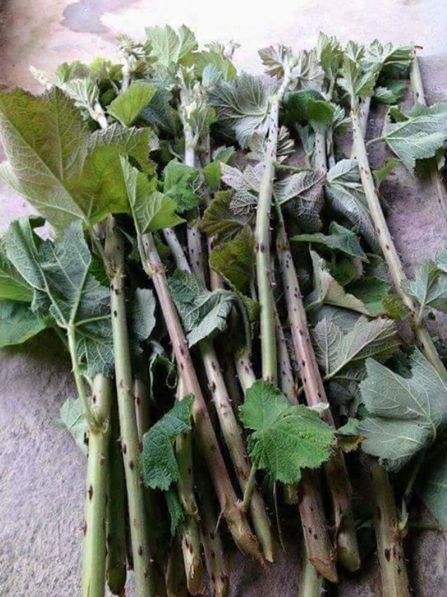 Những cực phẩm quà vặt 100% thiên nhiên mà thế hệ 8, 9x không bao giờ quên