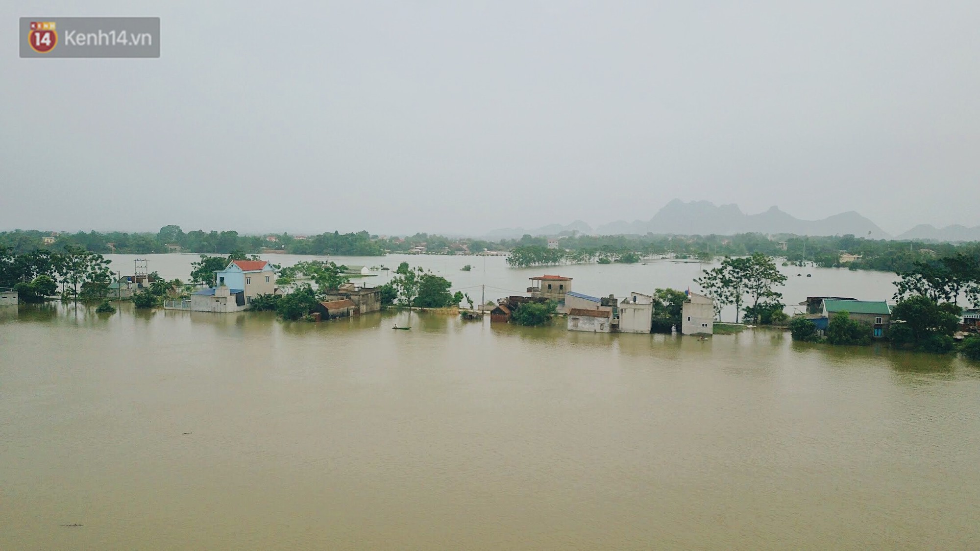 Những ngày lênh đênh ở Chương Mỹ: Trâu bò lặn ngụp, vịt trèo lên những mái nhà khi nước dâng đến tận nóc