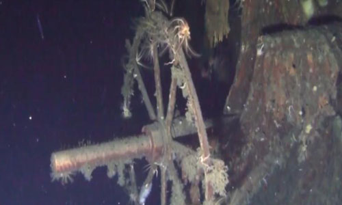 Công ty phát hiện xác tàu chiến chứa kho báu Nga bị cáo buộc gian lận