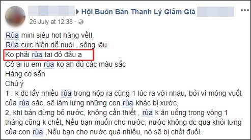 Nở rộ trào lưu bán rùa mini sơn đủ màu trên mạng xã hội, Nhà Rùa học Hà Đình Đức lên tiếng cảnh báo