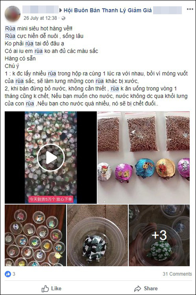 Nở rộ trào lưu bán rùa mini sơn đủ màu trên mạng xã hội, Nhà Rùa học Hà Đình Đức lên tiếng cảnh báo