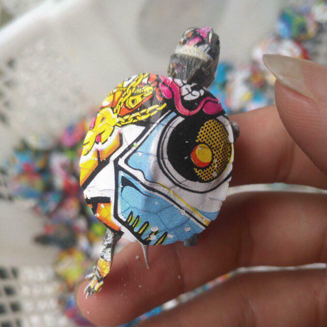 Nở rộ trào lưu bán rùa mini sơn đủ màu trên mạng xã hội, Nhà Rùa học Hà Đình Đức lên tiếng cảnh báo Nở rộ trào lưu bán rùa mini sơn đủ màu trên mạng xã hội, Nhà Rùa học Hà Đình Đức lên tiếng cảnh báo