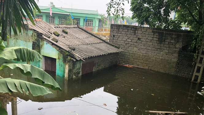 Vỡ đê bối ở Hà Nam, cả trăm hộ dân sống khổ trong biển nước